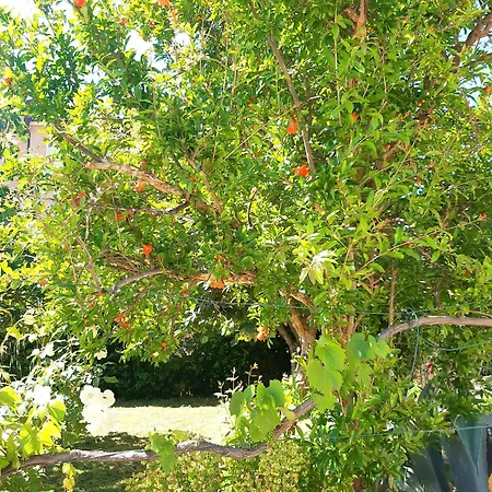 Villa.sunny.nin