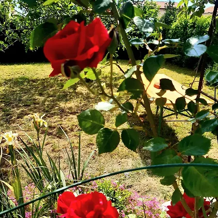 דירה Villa.sunny.nin *