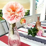 Villa.sunny.nin *