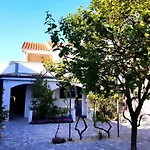 Villa.sunny.nin *