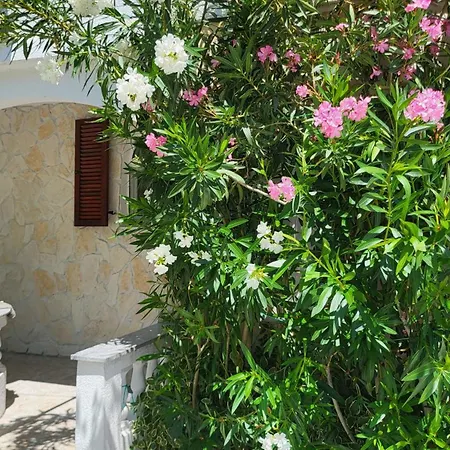 公寓 Villa.sunny.nin *