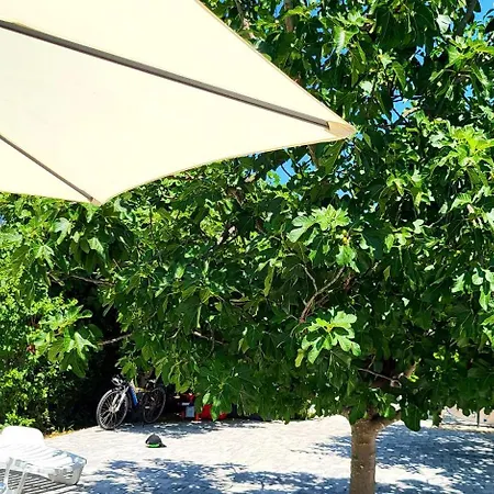 Villa.sunny.nin نين