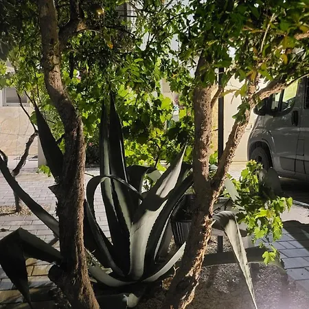 Villa.sunny.nin نين