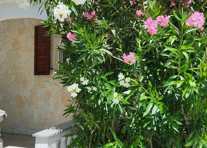 Apartman Villa.sunny.nin *