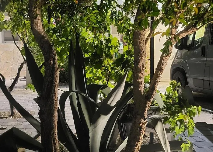 Villa.sunny.nin נין